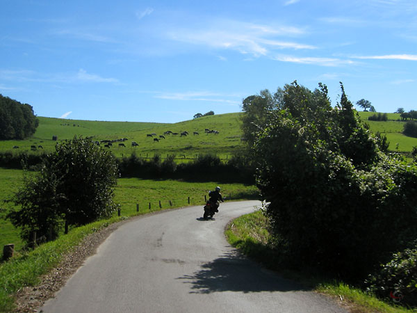 Groene heuvels koeien, bocht met Sylvia