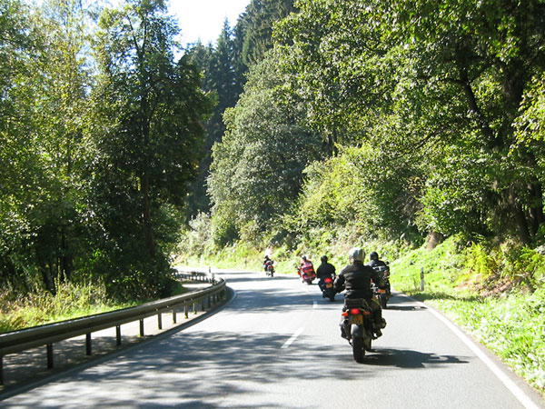 Weg met bomen, Sylvia achter groep motorrijders