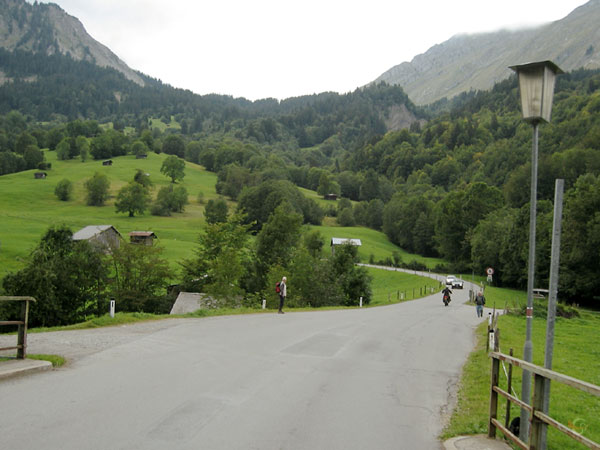 Groen gras, dennen, grijze bergen