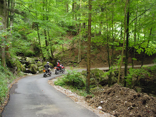 Pim en Sylvia met motoren, bos vol varens, bemoste stenen