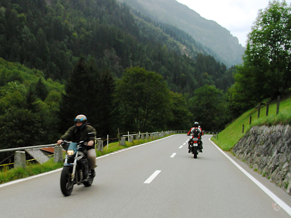 Weg langs hoge weilanden, dennenbossen, een tegemoetkomende motor