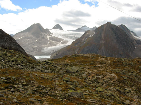 Gletscher tussen kale bergen; okerkleurig mos op de voorgrond