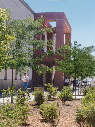 Grindtuin met bomen en hoekig modern gebouw