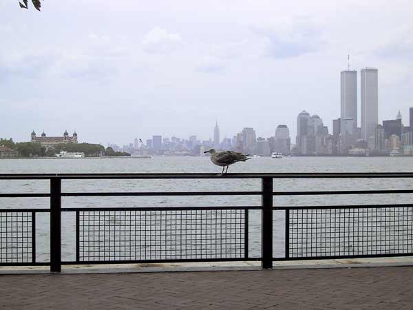 Gull on railing; Manhattan skyline and Ellis Island in sight