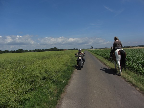 Guzzi en paard