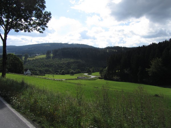 grasland en bossen