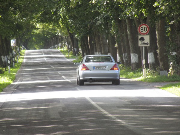 Bord met auto tegen boom