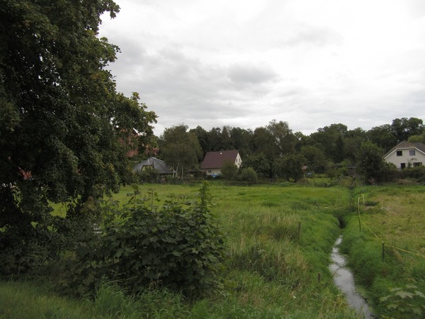 Groen landschap met bomen en slootje