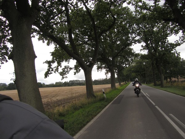 Tenere op weg met bomenk