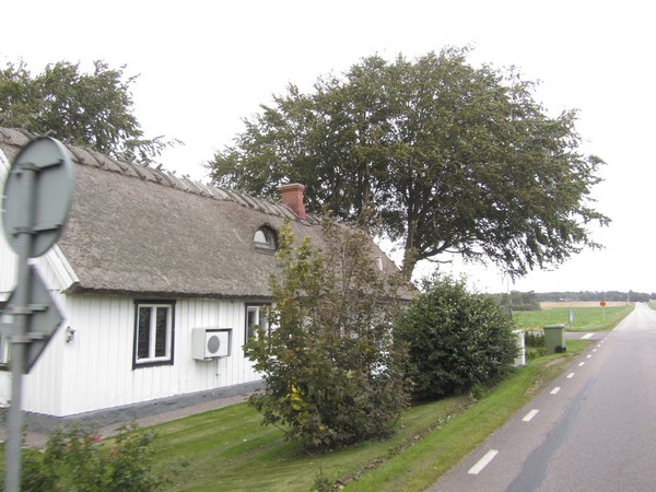 Wit huis met rieten dak