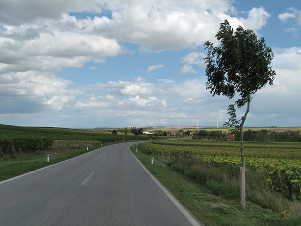 Vlakke golvende weg