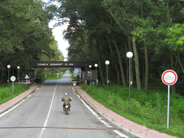 Smalle weg door het bos