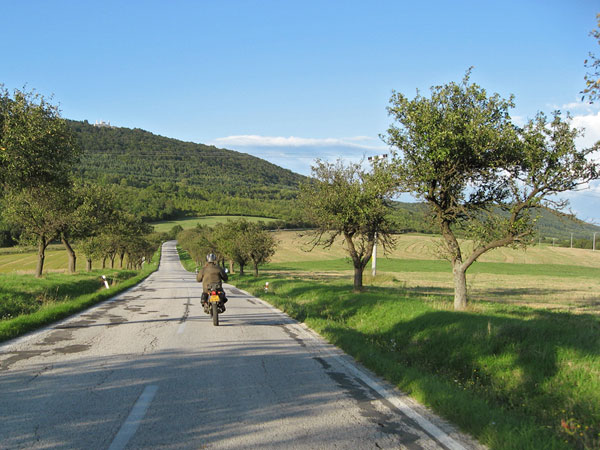 Akkerland, bomen, bocht in weg