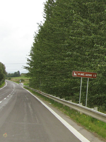 Weg in het groen