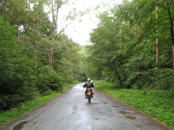 Weggetje door het bos