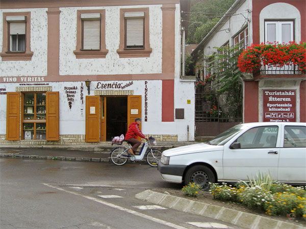 Huis met opschrift In vino veritas