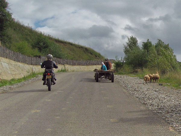 Tricker, kar en schapen