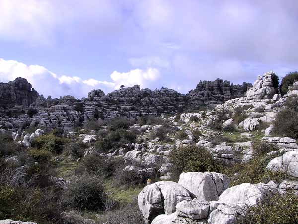 Strange white rocks