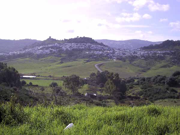 green field, white villages and a castle