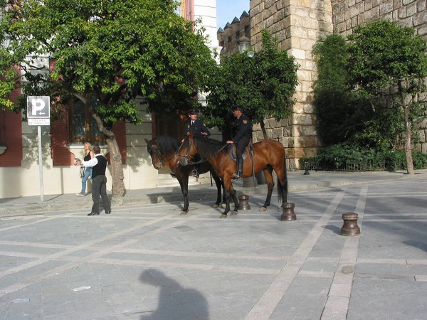 Politie te paard