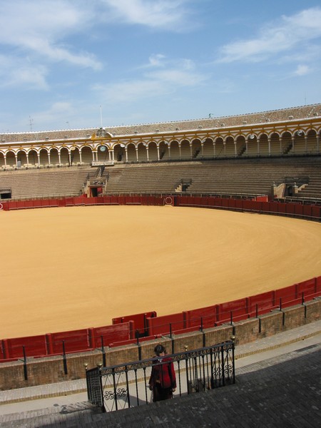 Arena