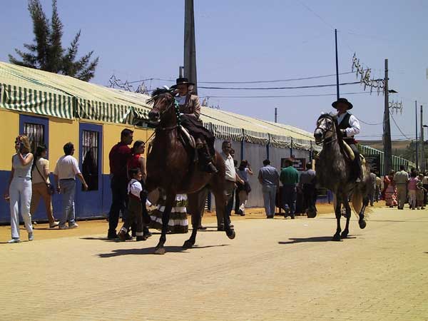 Andalusische paarden met ruiters