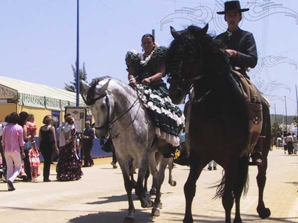 Andalucian horses with Andalucian riders