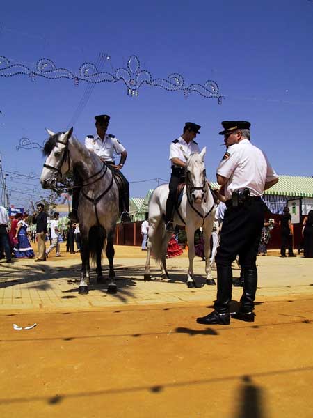 Politieagenten op Andalusische paarden