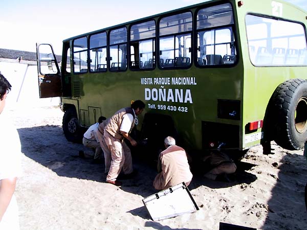 Mensen rond wiel van busje