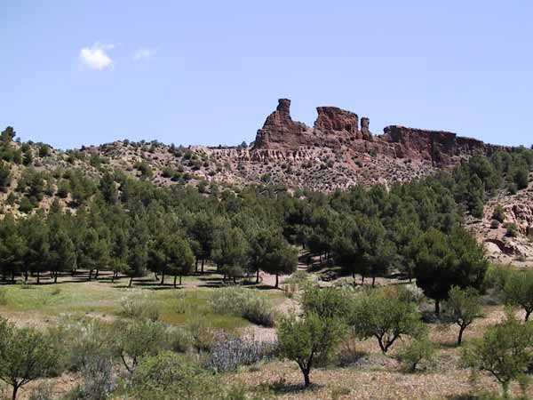 Rotsen als in Arizona, met bomen ervoor