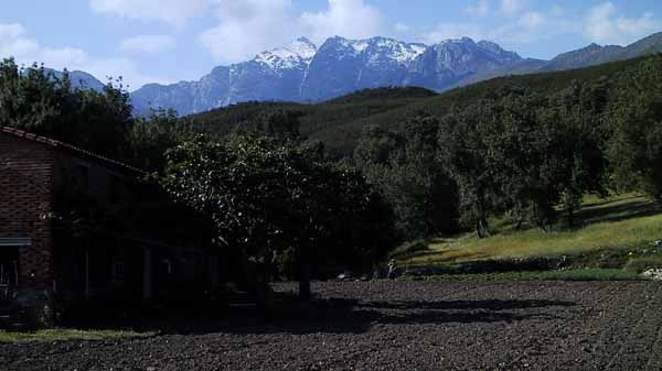 Besneeuwde bergen