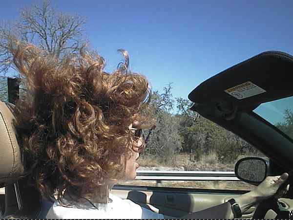 Sylvia's hair blown in the wind