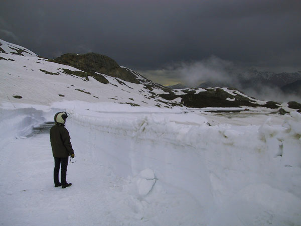 Sylvia staart naar sneeuwwanden