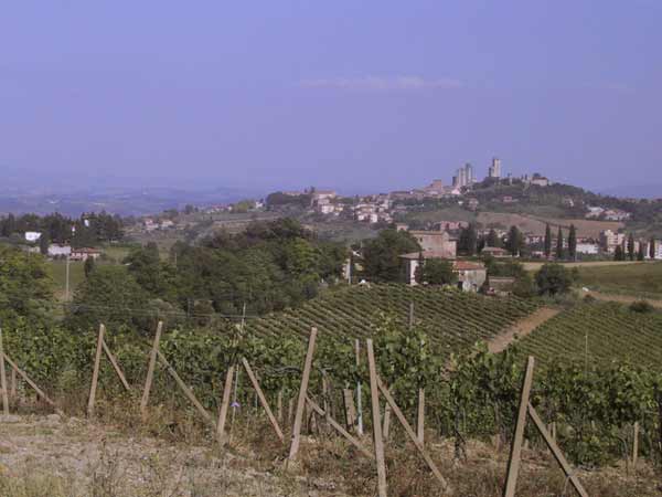 Wijngaarden, en daar achter een stadje met torens, op een heuvel