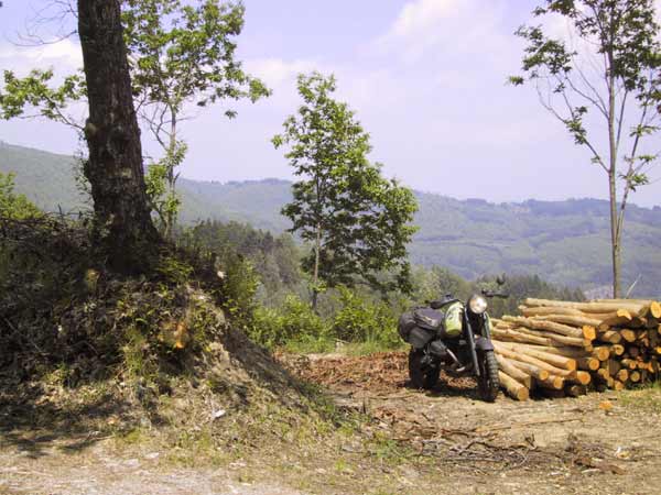 R3B naast een stapel hout