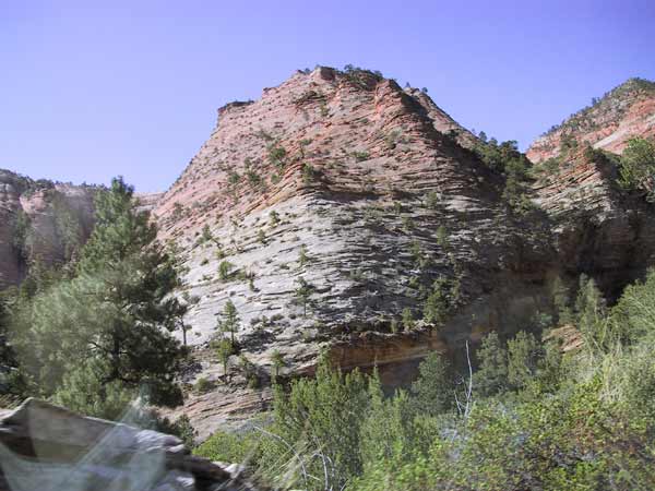 Een rots in pokdalig wit en rood met groene plukjes