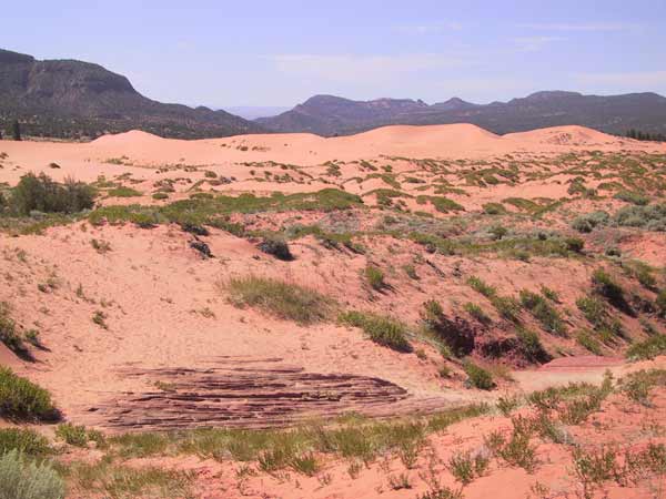 Pink sand and green grass