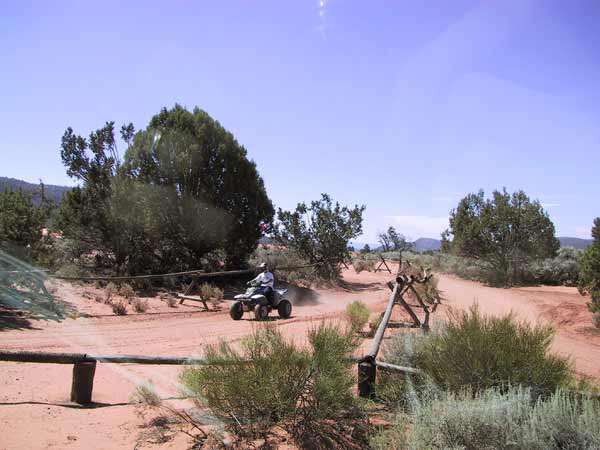 Een quad in de dunes