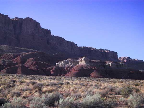 canyonwand met een soort olifantsvoeten