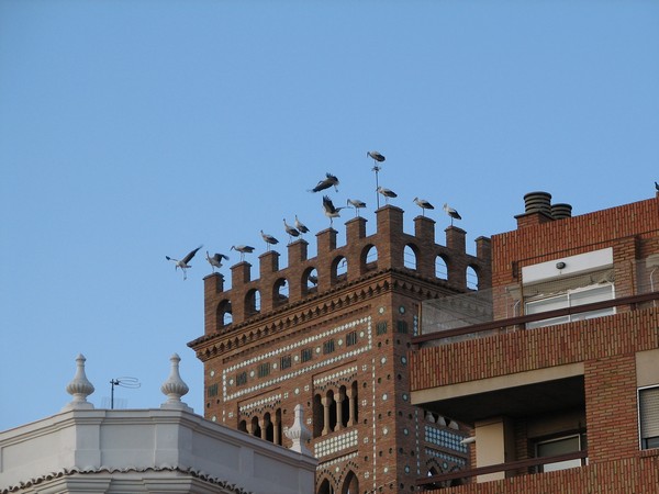 Vogels op kantelen