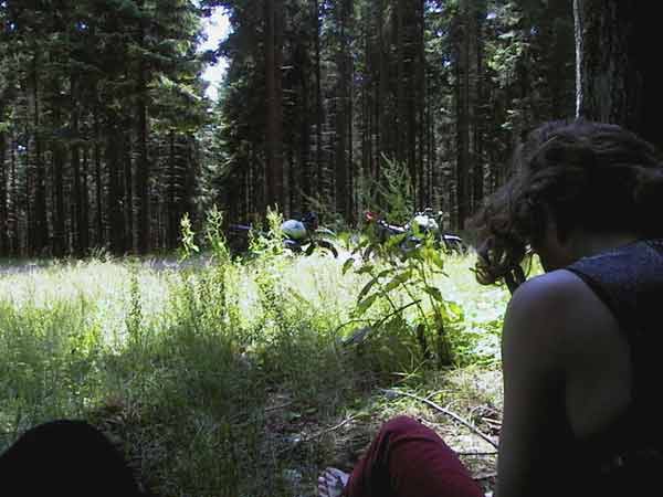 Sylvia sitting against a tree, near an open spot in the wood