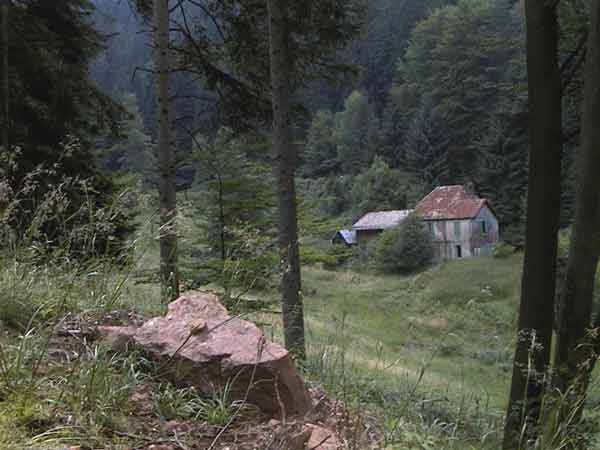 Oud, haveloos huis in het bos