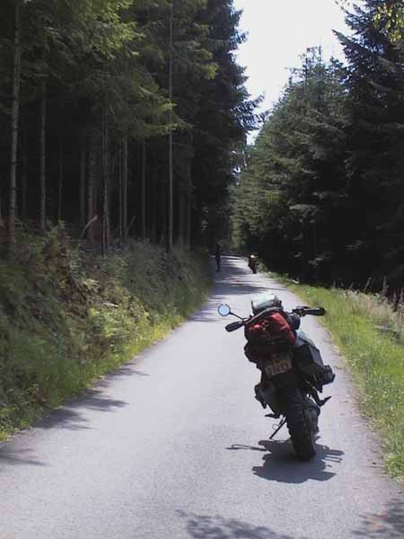 De motor geparkeerd op smal weggetje, dennebos aan weerszijden