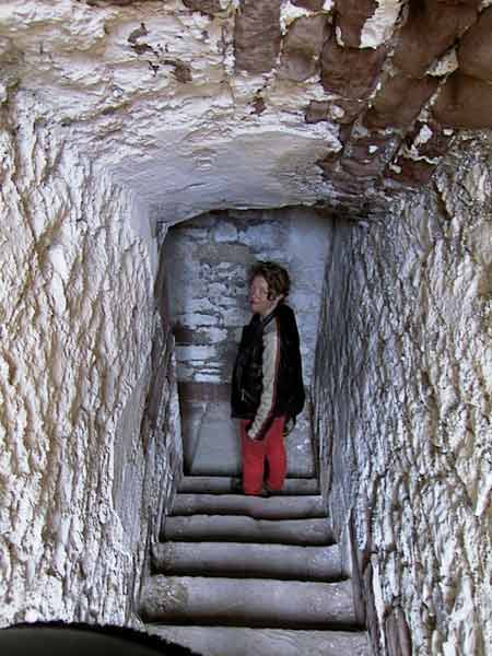 Sylvia on a staircase to the cellar